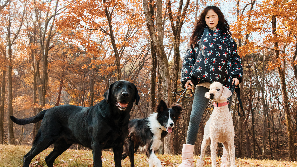 댕냥이에게도 사랑이 필요해