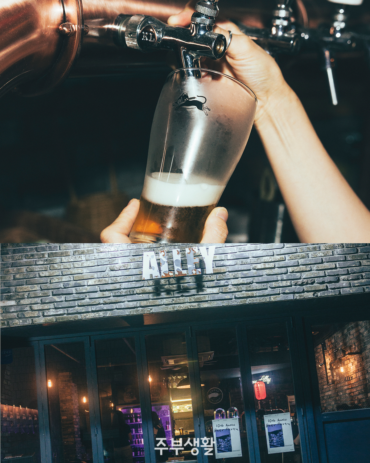 안동 알리 수제맥주 펍